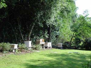 DSC02380