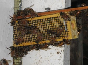 IMG_3112